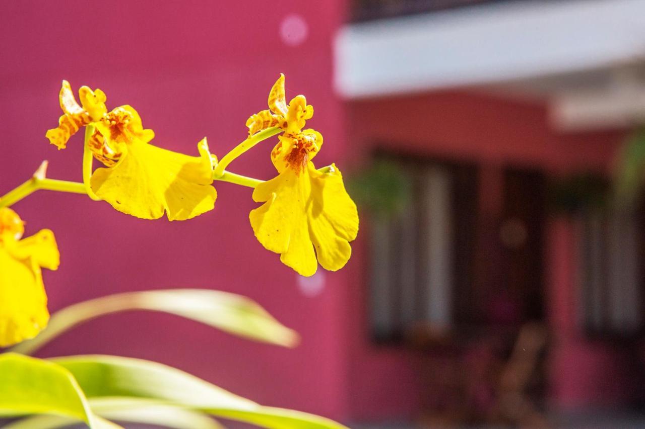 Suites Las Flores Маресиас Экстерьер фото